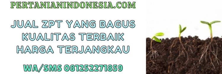 jual,zpt,zpt yang bagus,murah,pertanian indonesia